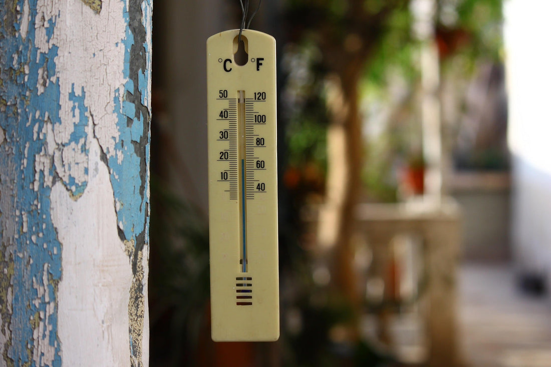 Thermomètre en plein soleil illustrant la canicule estivale - LuxPaw