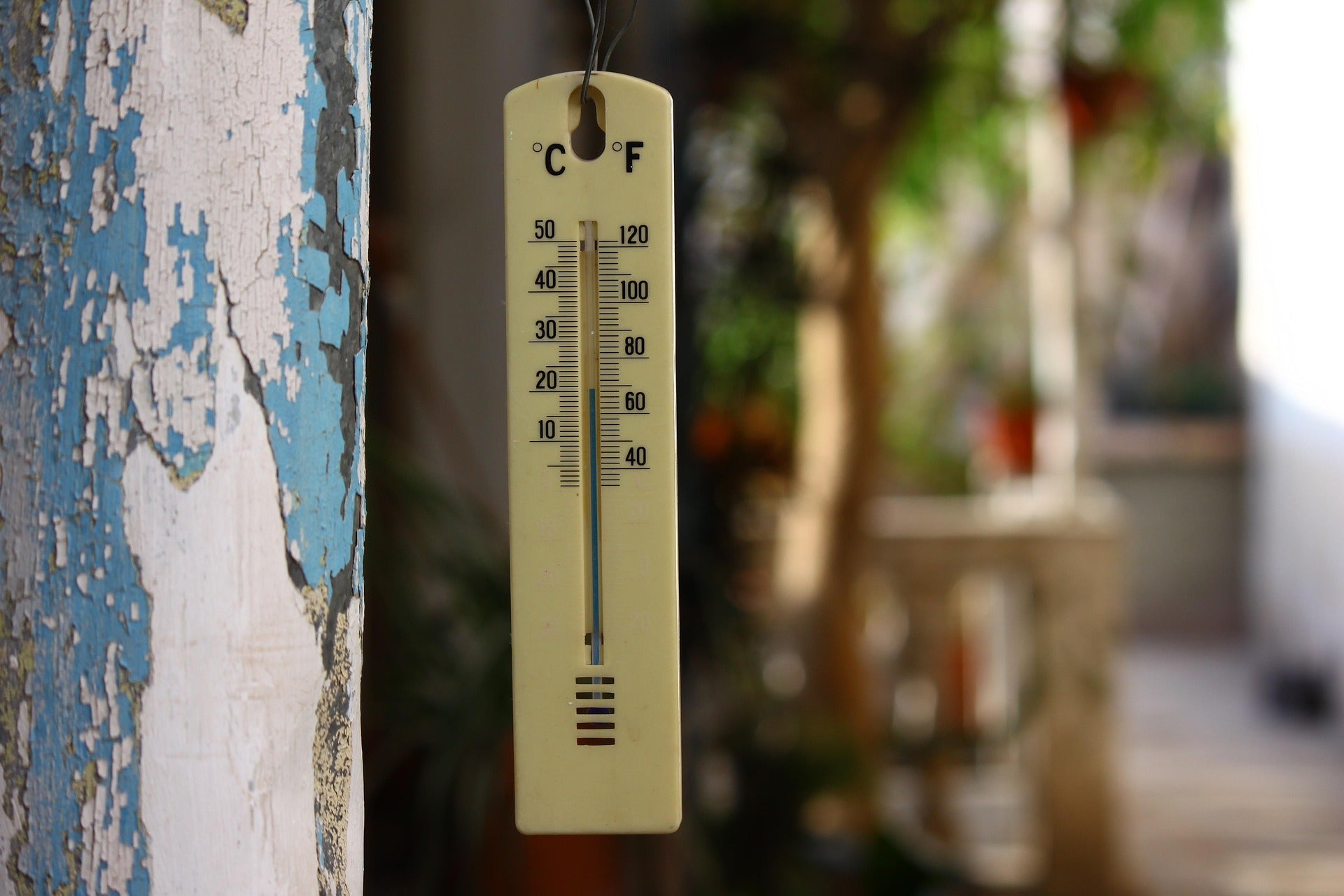 Thermomètre en plein soleil illustrant la canicule estivale - LuxPaw