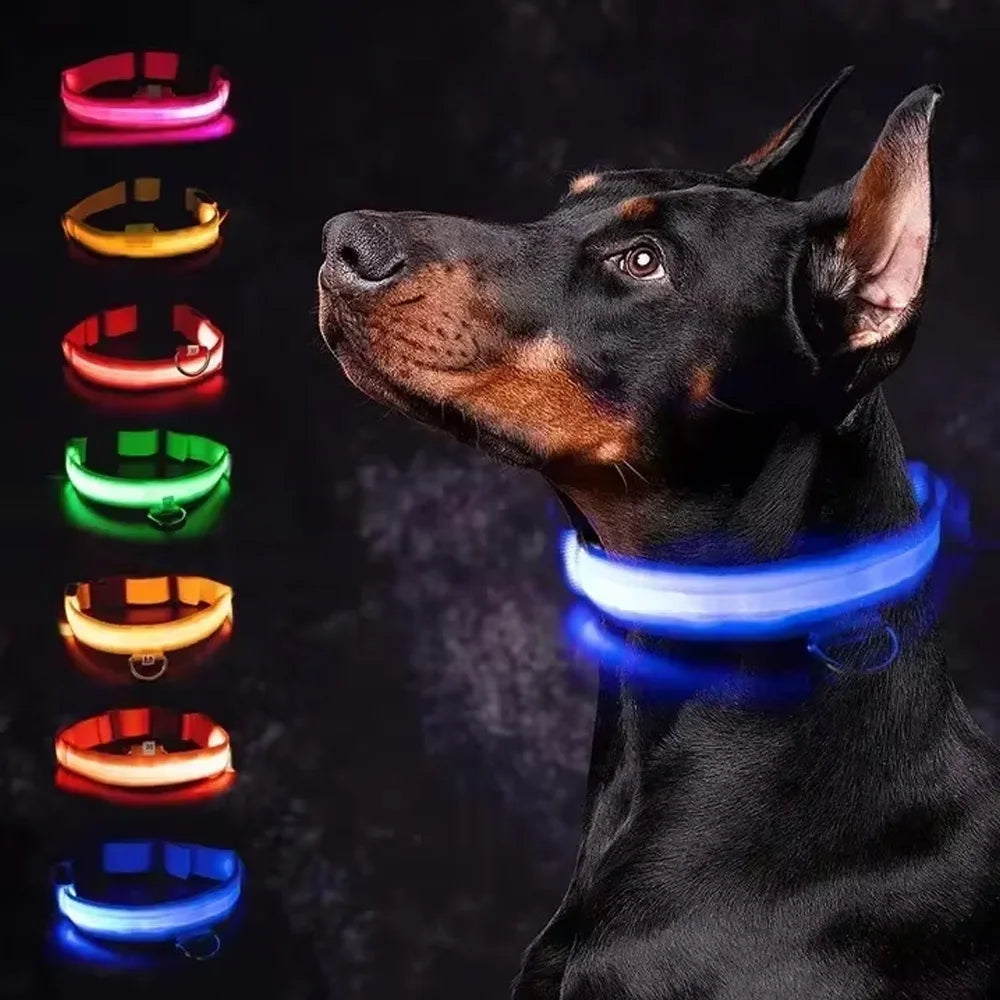 🐶🐱 Collier LED Rechargeable Chien & Chat — Sécurité Nocturne, Anti-Perte