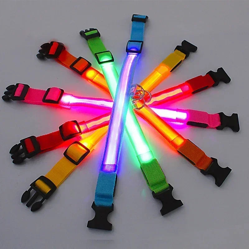 🐶🐱 Collier LED Rechargeable Chien & Chat — Sécurité Nocturne, Anti-Perte