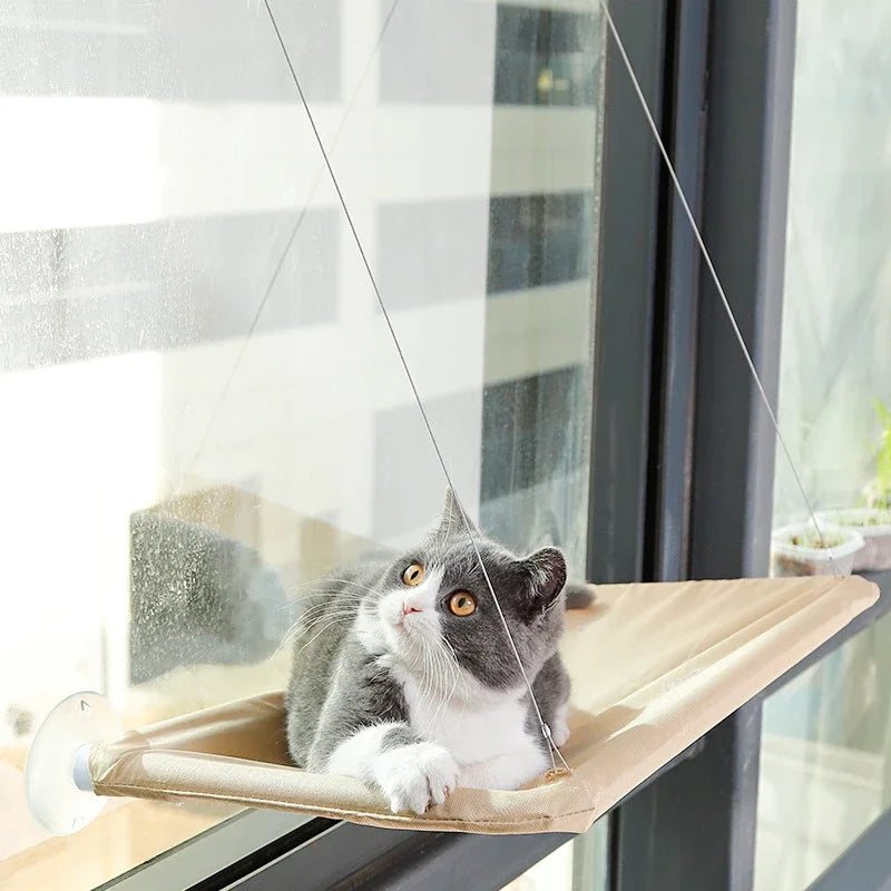 🐱 Hamac Fenêtre Ventouse pour Chat — Ensoleillé & Confortable