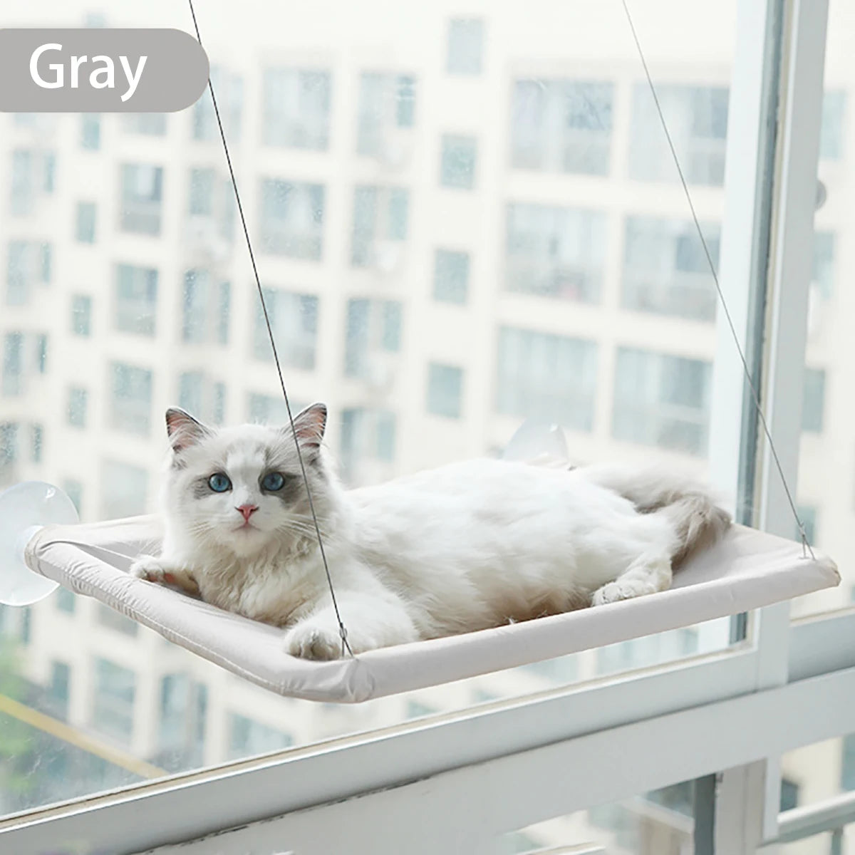🐱 Hamac Fenêtre Ventouse pour Chat — Ensoleillé & Confortable