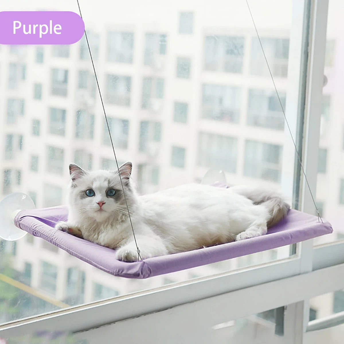 🐱 Hamac Fenêtre Ventouse pour Chat — Ensoleillé & Confortable