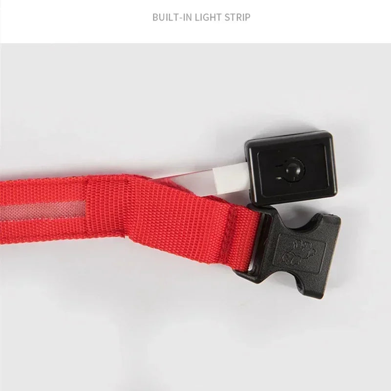 🐶🐱 Collier LED Rechargeable Chien & Chat — Sécurité Nocturne, Anti-Perte