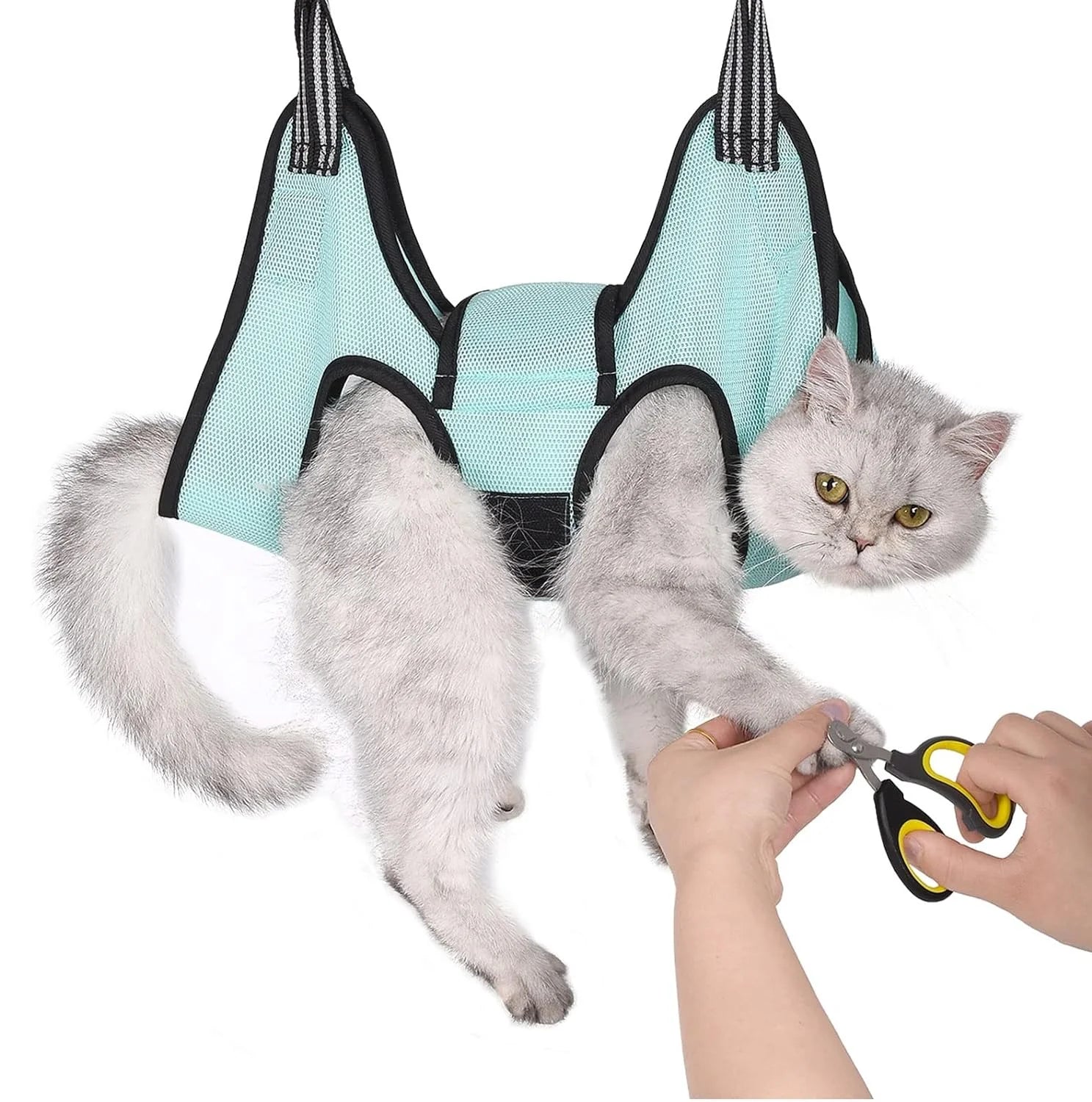 🐶🐱 Hamac de Contention Chien & Chat — Toilettage & Soins Sans Stress