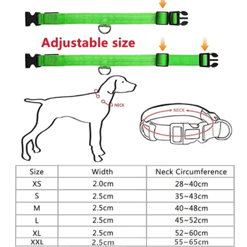 🐶🐱 Collier LED Rechargeable Chien & Chat — Sécurité Nocturne, Anti-Perte