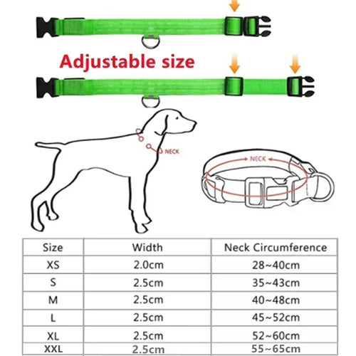 🐶🐱 Collier LED Rechargeable Chien & Chat — Sécurité Nocturne, Anti-Perte